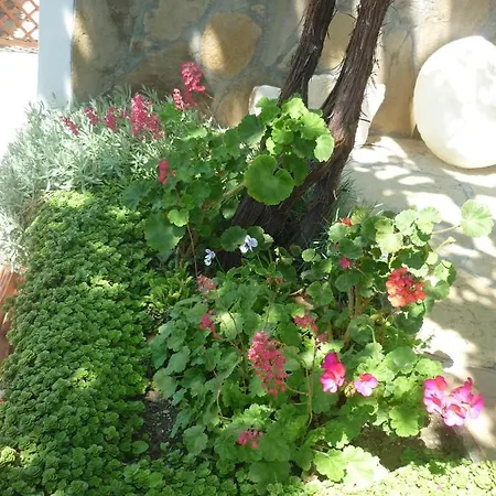 Harmony Vendégház *