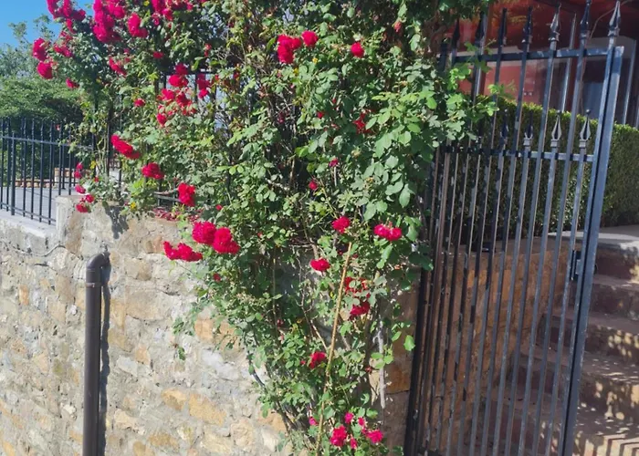 Harmony בית הארחה